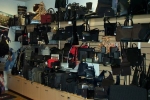 image_show006