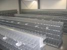 image_show015